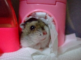 '07 blog用 0365.jpg