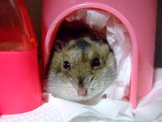 '07 blog用 0366.jpg