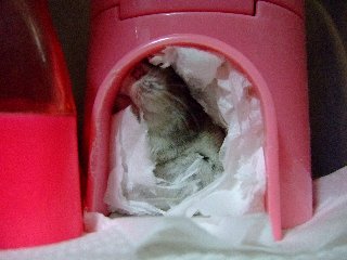 '07 blog用 0367.jpg