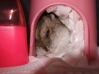 '07 blog用 0371.jpg