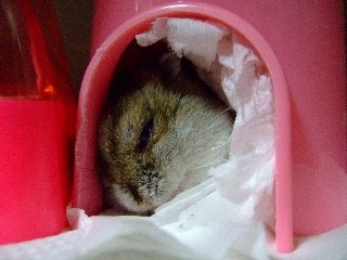 '07 blog用 0372.jpg