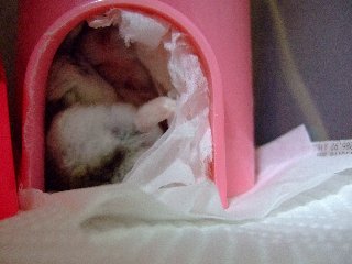 '07 blog用 0377.jpg
