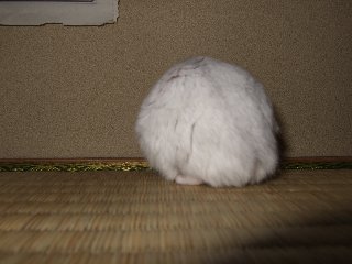 '07 blog用 0381.jpg