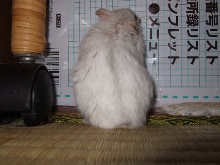 '07 blog用 0382.jpg