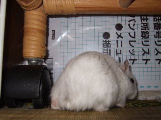 '07 blog用 0383.jpg