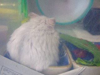 '07 blog用 0384.jpg