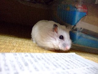 '07 blog用 0389.jpg
