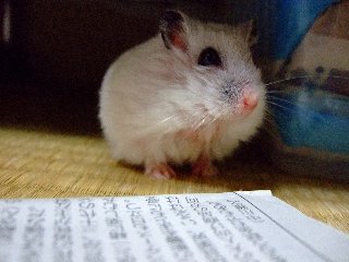 '07 blog用 0390.jpg