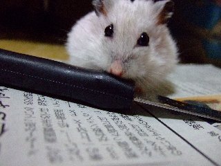 '07 blog用 0391.jpg