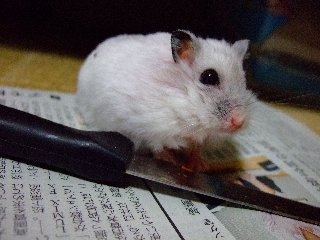 '07 blog用 0392.jpg