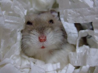 '07 blog用 0394.jpg