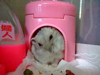 '07 blog用 0399.jpg