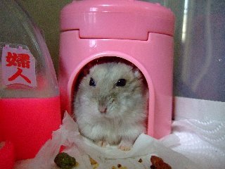 '07 blog用 0400.jpg