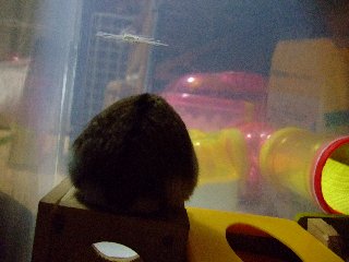 '07 blog用 0403.jpg