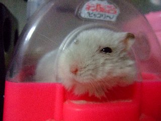 '07 blog用 0404.jpg