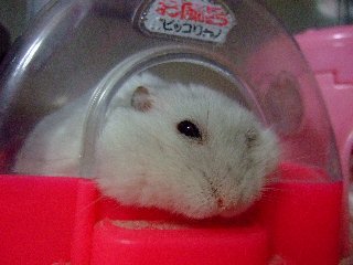 '07 blog用 0406.jpg