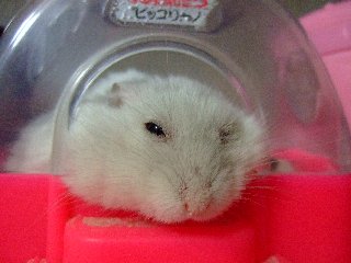 '07 blog用 0407.jpg