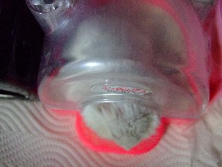 '07 blog用 0408.jpg