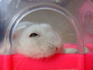 '07 blog用 0410.jpg