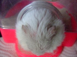 '07 blog用 0420.jpg