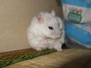 '08 blog用 0003.jpg