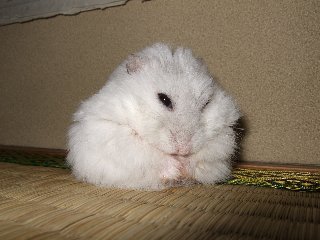 '08 blog用 0007.jpg