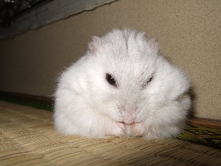 '08 blog用 0009.jpg