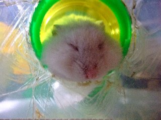 '08 blog用 0024.jpg