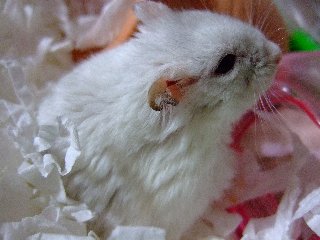 '08 blog用 0031.jpg