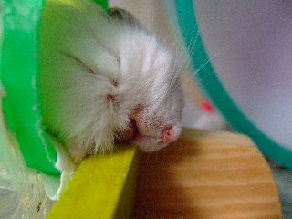 '08 blog用 0035.jpg