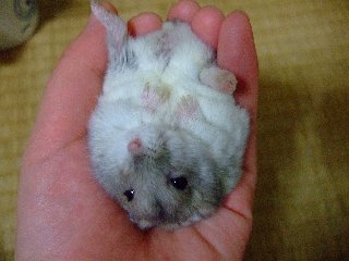 '08 blog用 0039.jpg