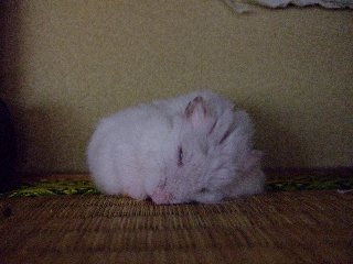 '08 blog用 0050.jpg