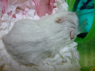 '08 blog用 0056.jpg