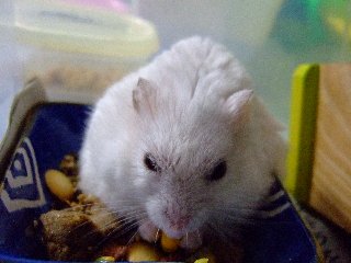 '08 blog用 0057.jpg