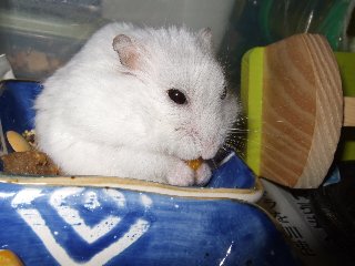 '08 blog用 0058.jpg