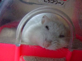 '08 blog用 0059.jpg