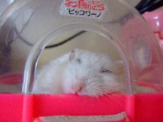 '08 blog用 0060.jpg