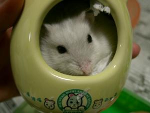 '08 blog用 0065.JPG