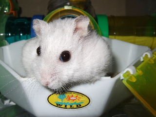 '08 blog用 0067.JPG