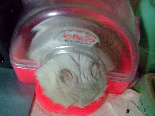 '08 blog用 0071.jpg