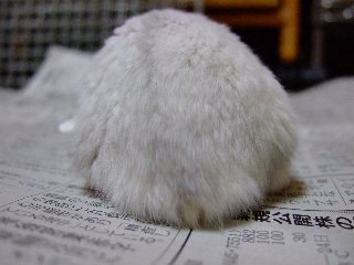 '08 blog用 0073.jpg
