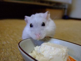 '08 blog用 0074.jpg
