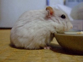 '08 blog用 0075.jpg