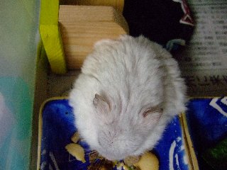 '08 blog用 0076.jpg