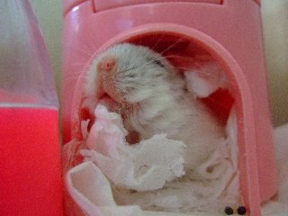 '08 blog用 0080.jpg