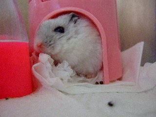 '08 blog用 0081.jpg