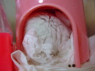 '08 blog用 0082.jpg