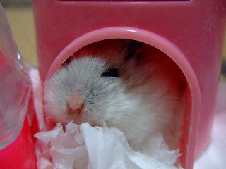 '08 blog用 0083.jpg
