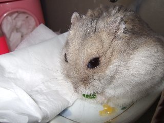'08 blog用 0085.jpg