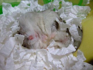 '08 blog用 0089.jpg